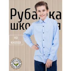 Школьная рубашка Palmary Leading PALMARY LEADING, размер 30-122, голубой