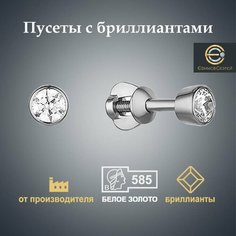 Серьги пусеты Ефимов Сергей, белое золото, 585 проба, родирование, бриллиант, размер 4 мм, длина 0.4 см, , белое золото