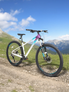 Велосипед горный Polygon Xtrada 7 29", Мультицвет