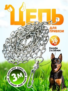 Цепь для привязи собак, 3 м, калибр 3 х 16 мм, белая No Brand