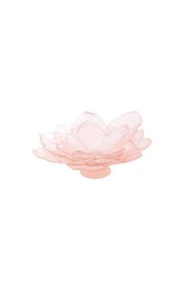 Ваза для фруктов Camelia Daum