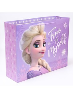 Пакет подарочный, 50х40х15 см, упаковка, холодное сердце Disney