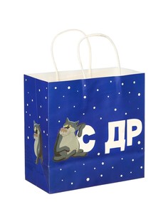 Пакет подарочный Союзмультфильм