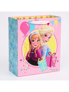 Пакет подарочный, 23х27х11.5 см, упаковка, холодное сердце Disney