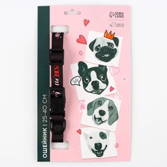 Ошейник my dog is the best, застежка - фастекс, 2 см 25-40 см Пушистое счастье