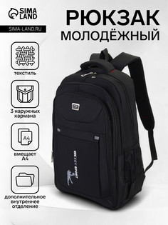 Рюкзак молодежный из текстиля, 2 отдела на молнии, 3 кармана, цвет черный/серый No Brand