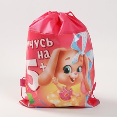 Мешок для обуви Art Fox Study