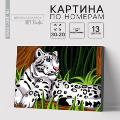 Картина по номерам на холсте с подрамником Школа талантов