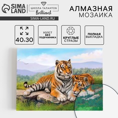 Алмазная мозаика с полным заполнением на холсте Школа талантов