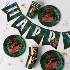 Посуда одноразовая бумажная dangerous party, 6 тарелок, 6 стаканов, 1 гирлянда Страна Карнавалия