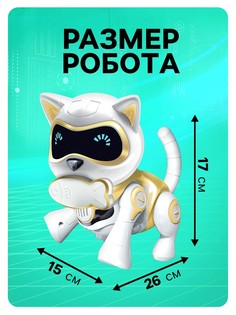 Робот кот IQ BOT