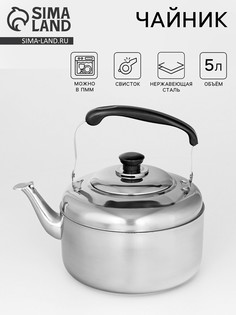 Чайник со свистком, 5 л, нержавеющая сталь, хромированный No Brand
