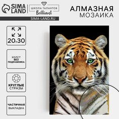 Алмазная мозаика с частичным заполнением Школа талантов