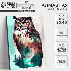 Алмазная мозаика с полным заполнением на холсте с подрамником Школа талантов