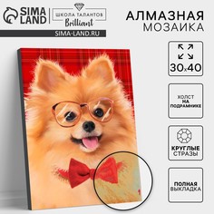 Алмазная мозаика с полным заполнением на подрамнике Школа талантов