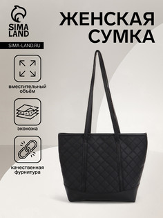 Сумка женская на молнии, цвет черный No Brand