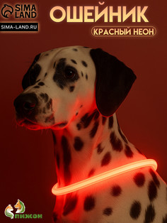 Ошейник - кольцо с подсветкой, зарядка от usb, до 70 см, 3 режима свечения, красный Пижон