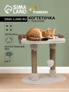 Когтеточка Пижон