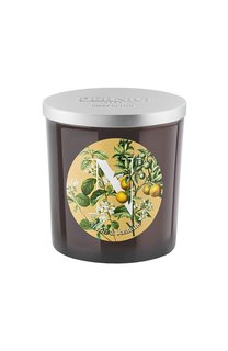 Свеча Neroli and Jasmin (350g) Pernici