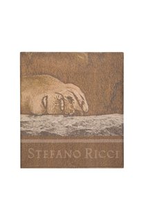 Кашемировое покрывало Лев Stefano Ricci